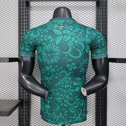 Maillot Palestine concept 2025-26 Maison To Sport